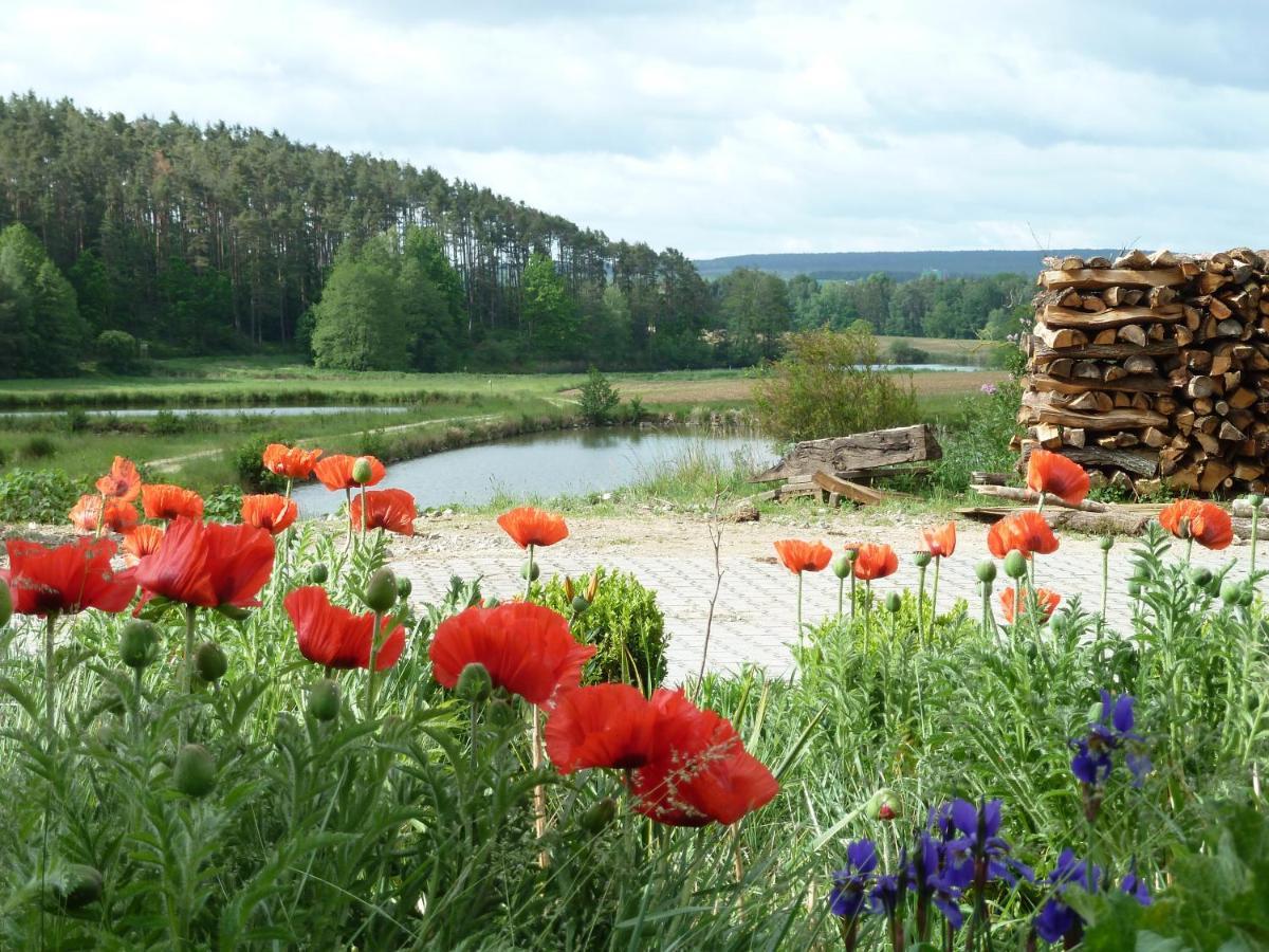 Ferienwohnungen Am Buechlhof Im Oberpfaelzer Seenland 纽保沃姆瓦尔德 外观 照片