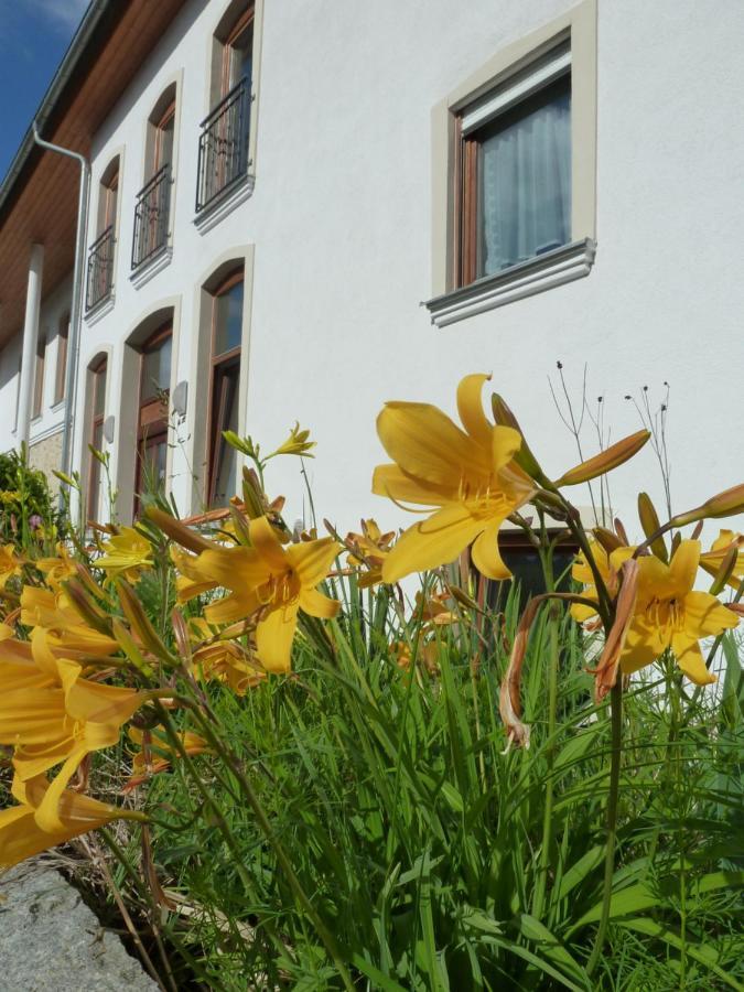 Ferienwohnungen Am Buechlhof Im Oberpfaelzer Seenland 纽保沃姆瓦尔德 外观 照片
